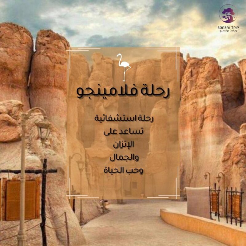 رحلة فلامنجو