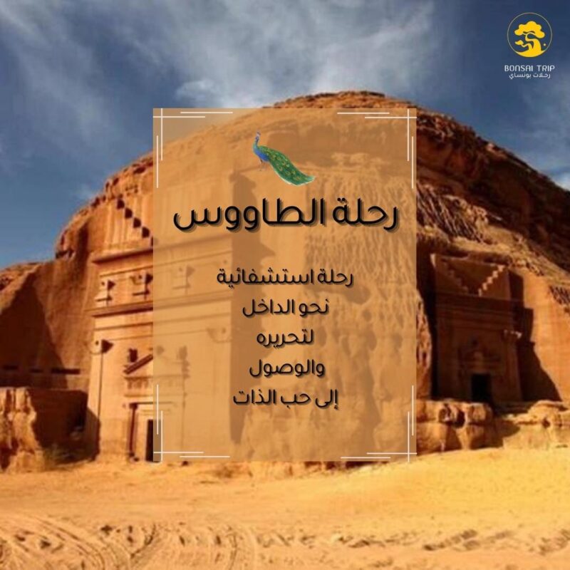 رحلة الطاووس