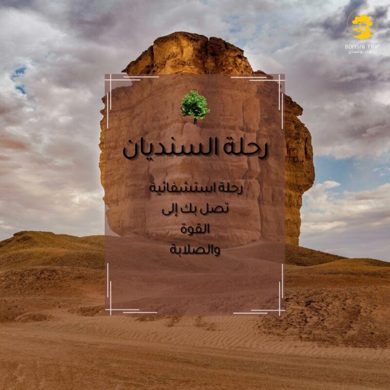 رحلة السنديان